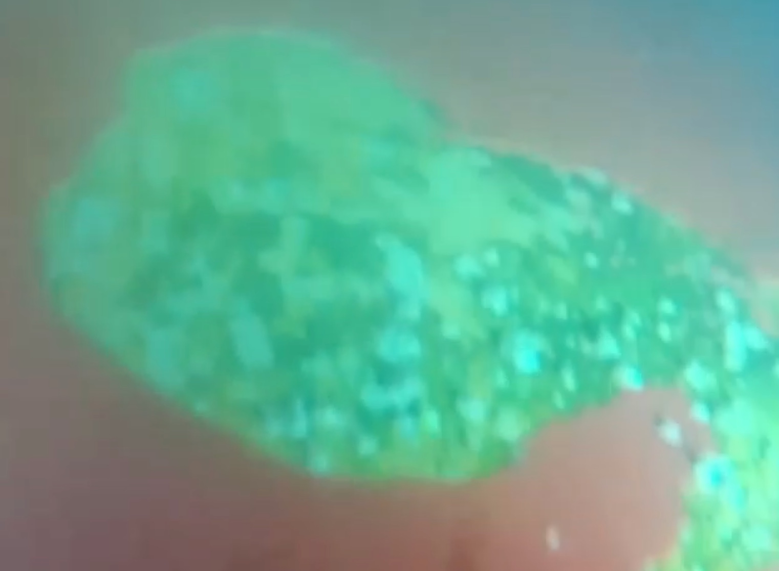 高瑞海工 ROV 水下检测作业实拍:2026年9月 · 大连 · 船舶海生物附着和测厚检测