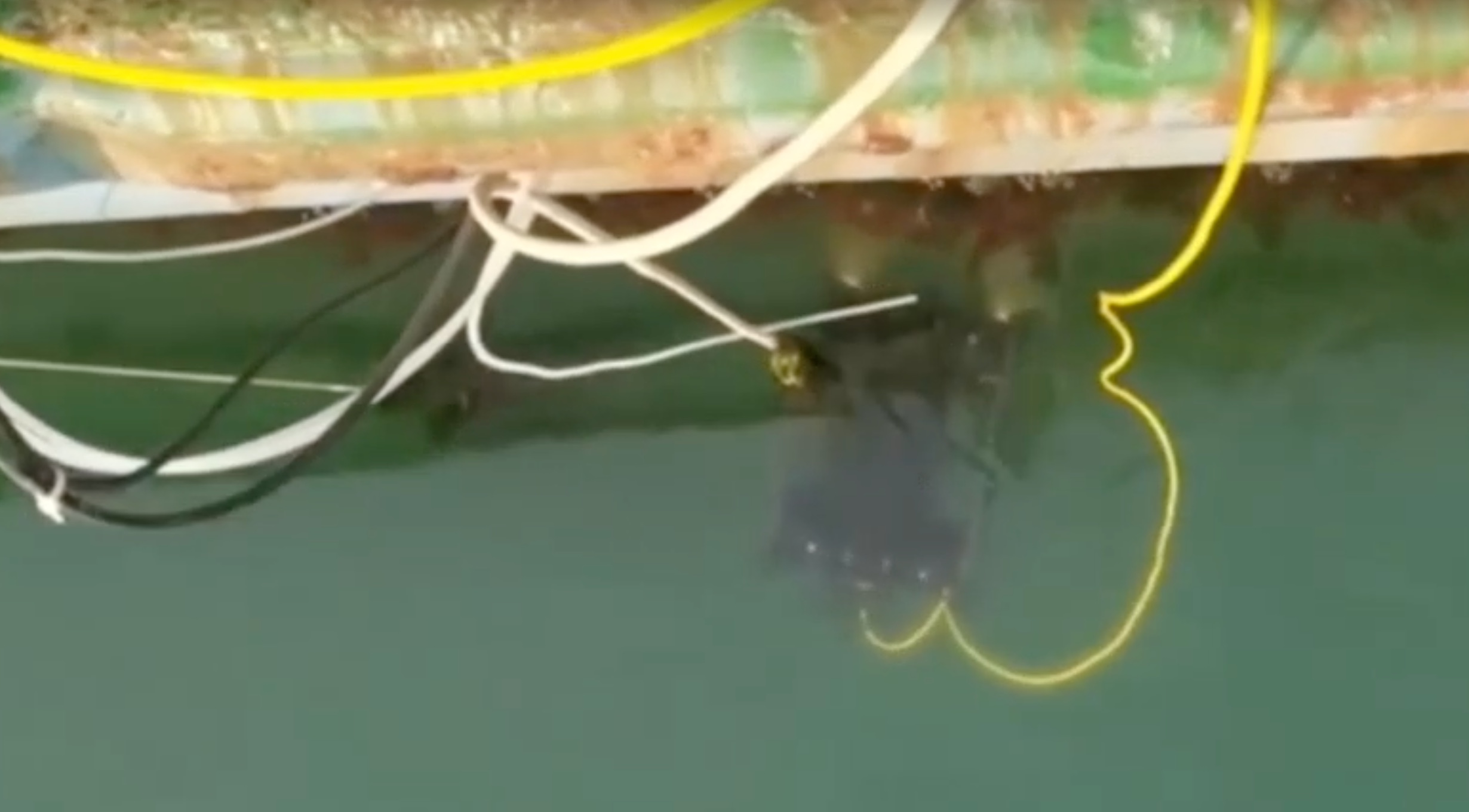 高瑞海工 ROV 水下检测作业实拍:2026年4月 · 青岛港 · 船舶检测