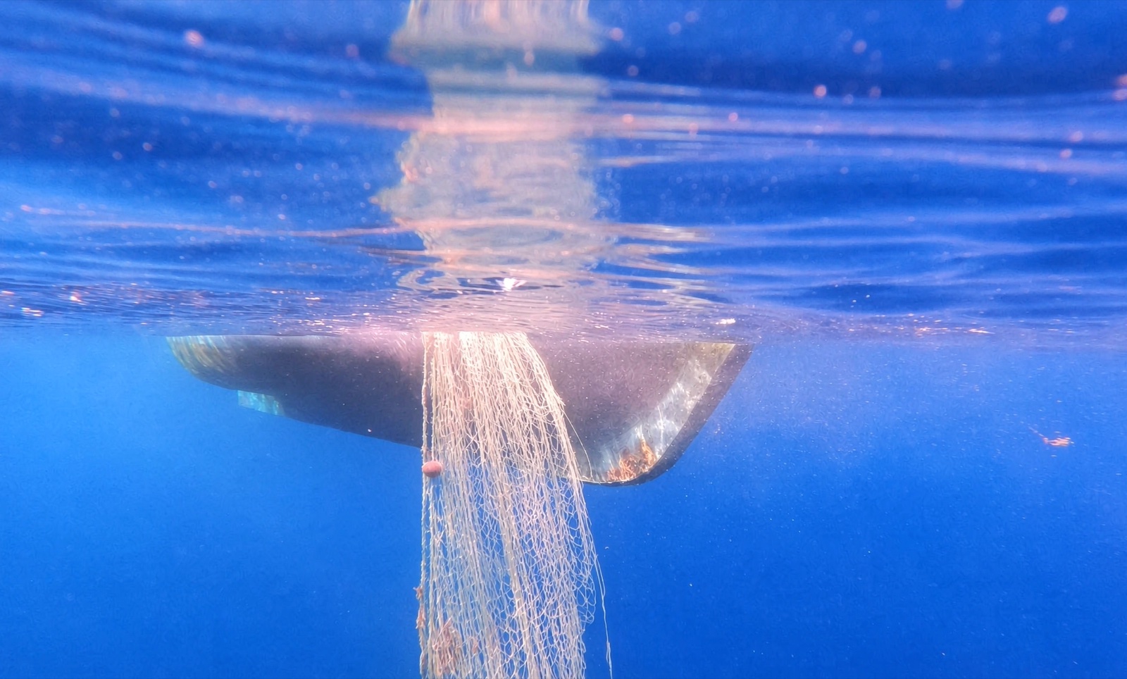 高瑞海工 ROV 水下检测作业实拍:2025年8月 · 大连港 · 船舶螺旋桨渔网缠绕检测