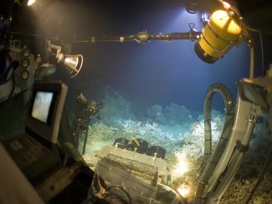 EyeROV TUNA ROV 水下检测
